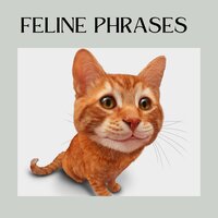 Consoling Cat Sound - Cats Music Zone