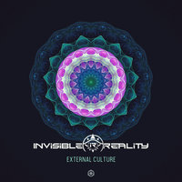 External Culture - Invisible Reality