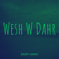 Love, Hate & Everything in Between - Sary Hany