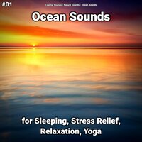 Ocean Sounds Part 24 - Coastal Sounds & Nature Sounds & Ocean Sounds
