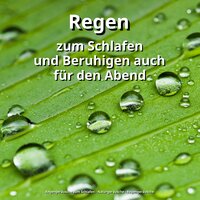 Regen für Yoga - Regengeräusche zum Schlafen & Naturgeräusche & Regengeräusche