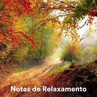 Soul Discovery - Academia de Relaxamento Espiritual & Notas de Relaxamento & Reiki Consorte de Curación