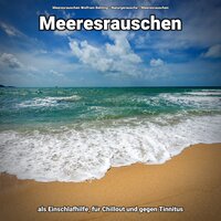 Ihre Naturszene - Meeresrauschen Wolfram Behling & Naturgeräusche & Meeresrauschen