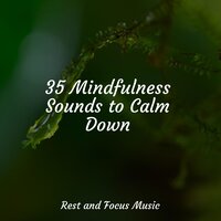 Resonance of the Earth - Relaxing Music Therapy & Mother Nature Sound FX & Nature Sounds Nature Music
