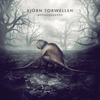 Chiptrails - Bjoern Torwellen