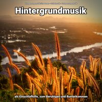 Schlafmusik - Entspannungsmusik & Schlafmusik & Entspannungsmusik Sina Donen