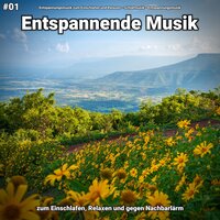 Entspannende Musik pt. 2 - Entspannungsmusik zum Einschlafen und Relaxen & Schlafmusik & Entspannungsmusik