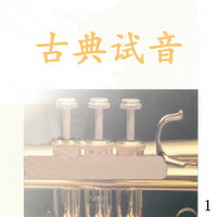 老鹰之歌 - 新时代乐队