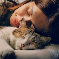 Ecos Orquestales Armoniosos Para Gatos - Las barbas son mejores & Atrapar el sueño & El relajante para gatos