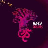 Qartoon - Tribeqa