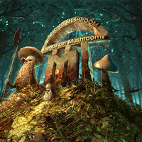 Kazabubu - Infected Mushroom