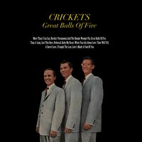 More Than I Can Say - The Crickets