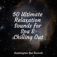 Healing Spells - Cascada de Lluvia & Lluvia & Relaxing Mindfulness Meditation Relaxation Maestro
