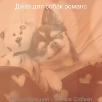 Видения (Щенки) - Джаз для собак романс