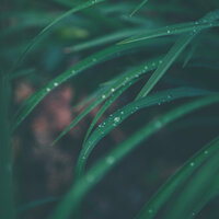 Moviéndose Hacia El Este - Sonidos de lluvia para dormir & Musica para Dormir Dream House & Canção de Ninar Bebê