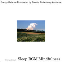 Whispers of the Ocean's Embrace - Sleep BGM Mindfulness