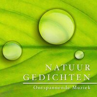 Meditatie Muziek New Age - Inner Adventure