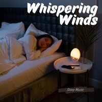 Sleep Meditation Music - Sleep Music