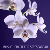 Die 7 Chakren - Entspannungsmusik Akademie