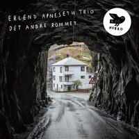 Under Isen - Erlend Apneseth Trio & Stephan Meidell & Erlend Apneseth & Øyvind Hegg-Lunde