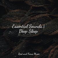 Broiling Brook - Pink Noise & Sleep Sound Library & Música Zen Relaxante