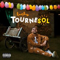 Tournesol - Lucho