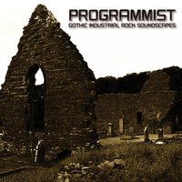 Freitag - Programmist