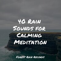 Rain in Window - Nature Sounds Nature Music & Mother Nature Sound FX & Rain Recorders