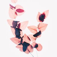 One Soul - Nature Sounds & Studying Music & Lullabies for Deep Meditation