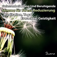 Yoga Musik: Positives Denken - ShaNa