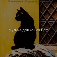 Впечатление (Подчеркнутые кошки) - Музыка для кошек Bgm