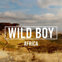 Table Mountain - WILD BOY