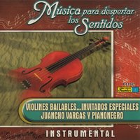 El Viejo Baúl - Violines Bailables
