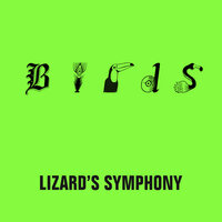 Lizard's Symphony - Birds