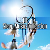Soothing Ocean Sound - Calm Sleep Through the Night