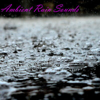 Sedative Rainfall - Switch