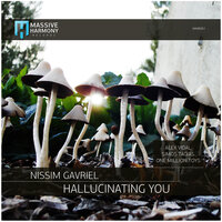 Hallucinating You - Nissim Gavriel & Alex Vidal