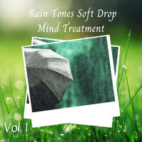 Quiet Night Rain - Best Relaxing Spa Music & Relaxing Music For Sleeping & Dog Music Dreams