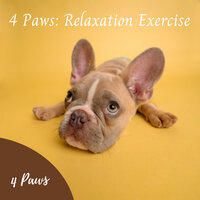 Cat Fun Sound - Cat Music & Music for Focus and Concentration & Relax My Dog Music