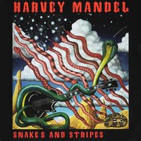 Special Delivery - Harvey Mandel