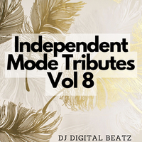 Stop - DJ Digital Beatz