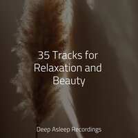 Quiet Forest - Alpha Waves & Ambientalism & Música de la Naturaleza
