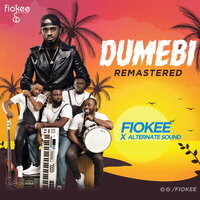 Dumebi - Fiokee & Alternate Sound