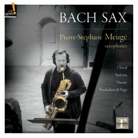 The Well-Tempered Clavier, Book I: Prelude in B-Flat Minor, BWV 867 - Pierre-Stéphane Meugé & Johann Sebastian Bach