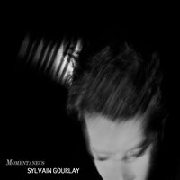 Momentaneus 6 - Sylvain Gourlay