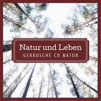 Musik zum Üben der Tiefenentspannung - Entspannungsmusik Akademie