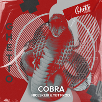 COBRA - NICESKEIK & TBT Prod.