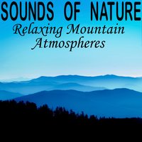 Insects and Wildlife in an Alpine Forest - Pro Sound Effects Library