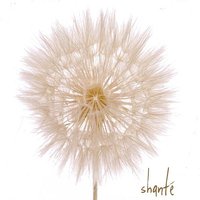 Landslide - Shante