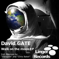 Walk on the moon - David Gate & Radio Edit
